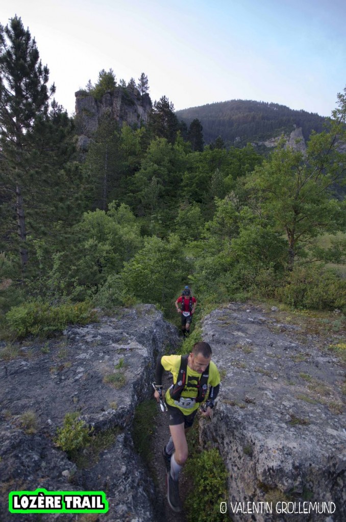 ValGrollemund_Tarn-RacinesAiles_31-10-2014_BD (1)