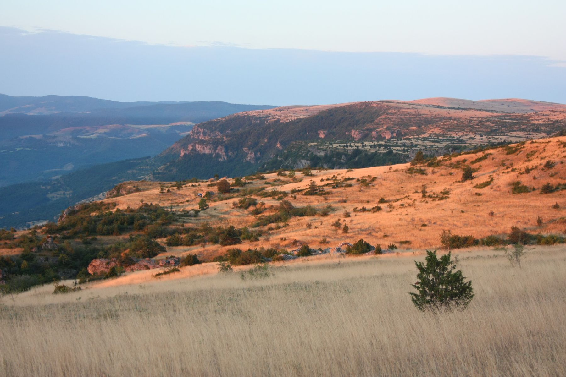 Causse Méjean 1 - F. Touret